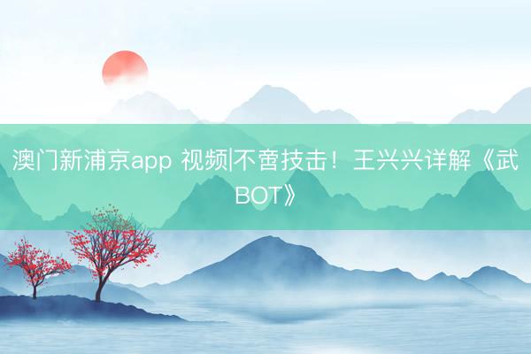澳門新浦京app 視頻|不啻技擊！王興興詳解《武BOT》