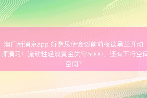 澳門新浦京app 好意思伊會談前前夜德黑蘭開動舟師演習！流動性輕淡黃金失守5000，還有下行空間？