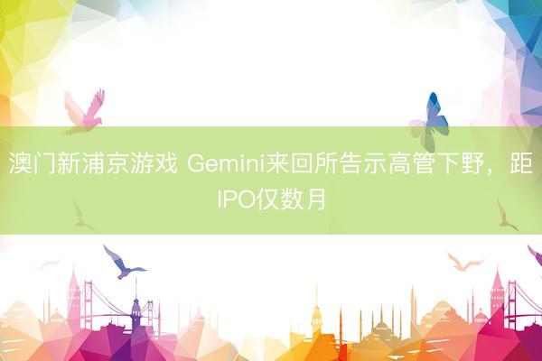 澳門新浦京游戲 Gemini來回所告示高管下野，距IPO僅數月