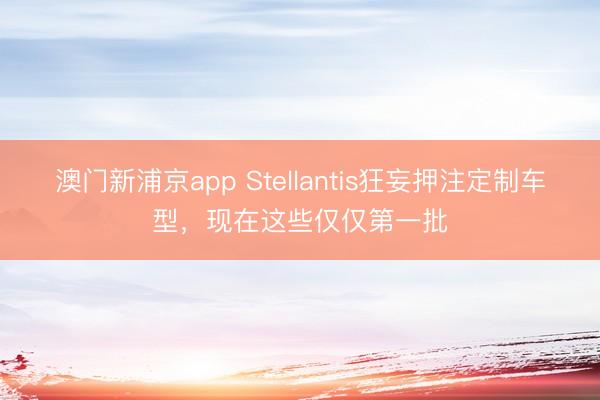 澳門新浦京app Stellantis狂妄押注定制車型，現在這些僅僅第一批