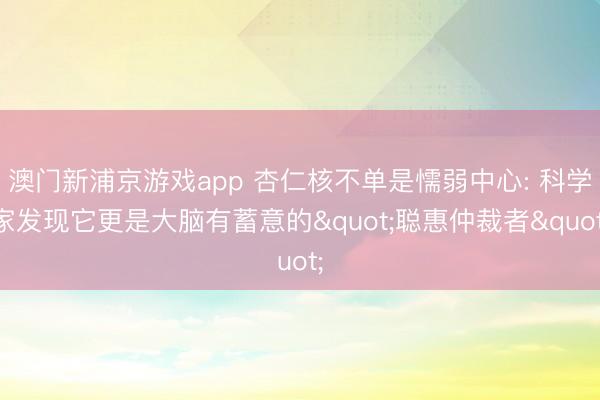 澳門新浦京游戲app 杏仁核不單是懦弱中心: 科學(xué)家發(fā)現(xiàn)它更是大腦有蓄意的"聰惠仲裁者"