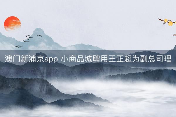 澳門新浦京app 小商品城聘用王正超為副總司理