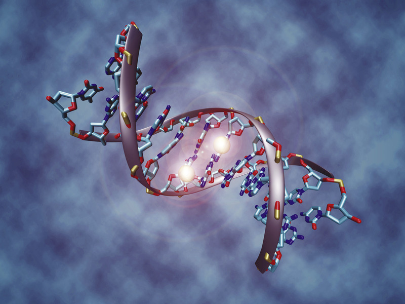 神經外科學 - 第78期:生物信息學與計算機輔助癌癥診斷