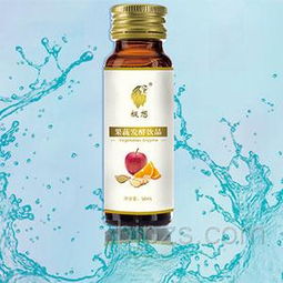 善德生物科技 以果蔬發酵飲品為媒，誠邀上海伙伴共拓健康藍海