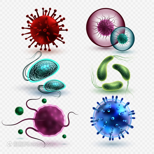 3D現(xiàn)實中的微生物與細菌 隔離、媒集與微觀世界的探索