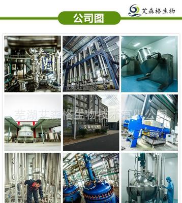 探索人參皂苷20% 源自專業(yè)植提廠家的高品質人參提取物